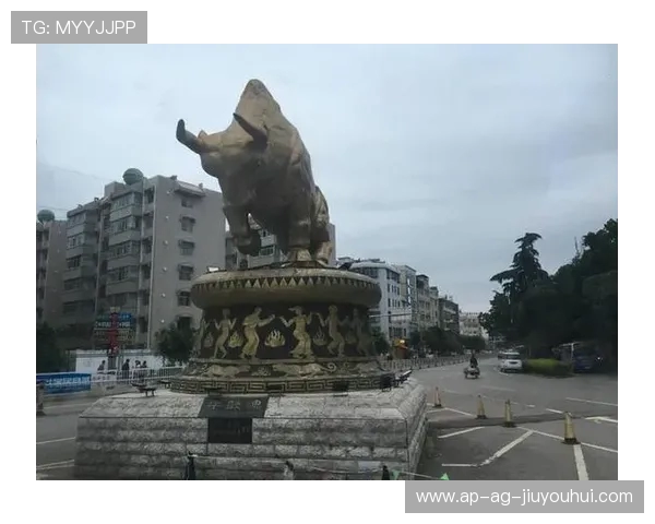 以楚雄为核心打造西南地区高水平职业足球联赛发展新格局